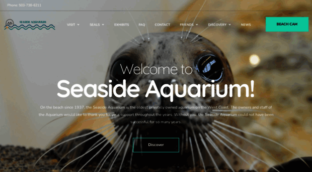 seasideaquarium.com