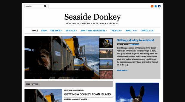 seasidedonkey.co.uk