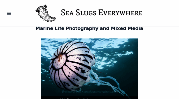 seaslugseverywhere.com