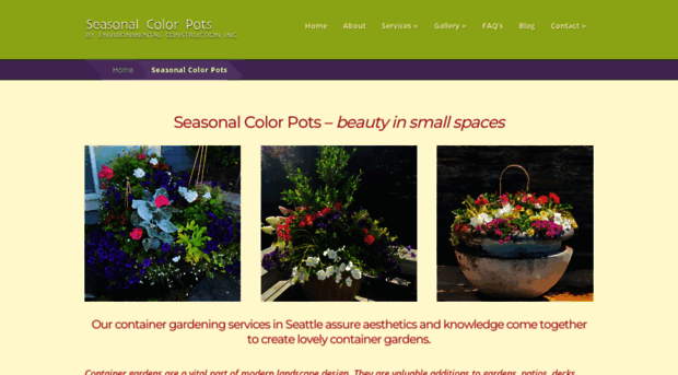 seasonalcolorpots.com