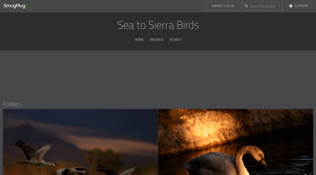 seatosierrabirds.com