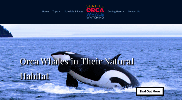 seattleorcawhalewatching.com