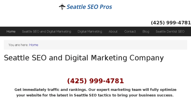 seattleseopros.com