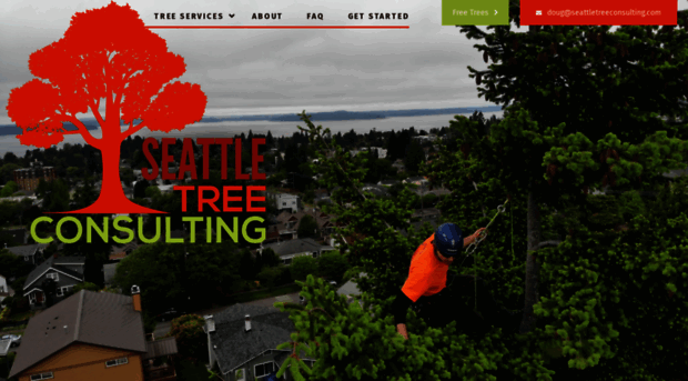 seattletreeconsulting.com