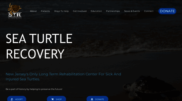 seaturtlerecovery.org