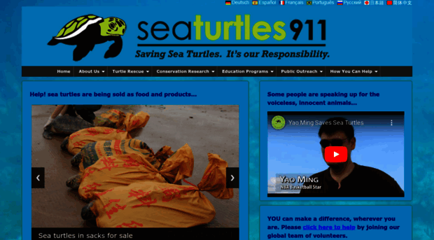 seaturtles911.org