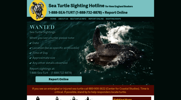 seaturtlesightings.org