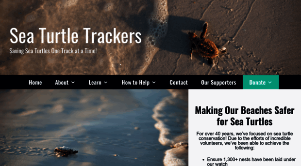 seaturtletrackers.org