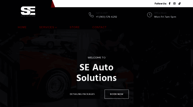 seautosolutions.com