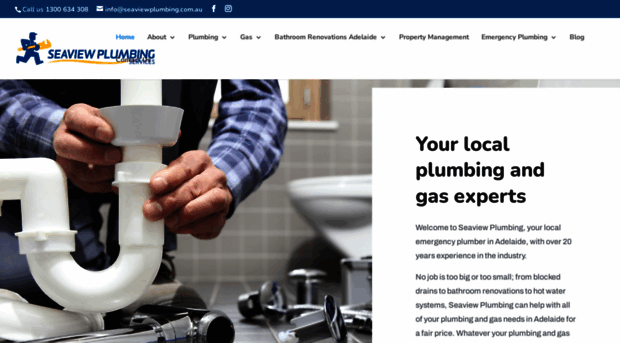 seaviewplumbing.com.au