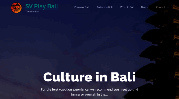 seavuplaybali.com