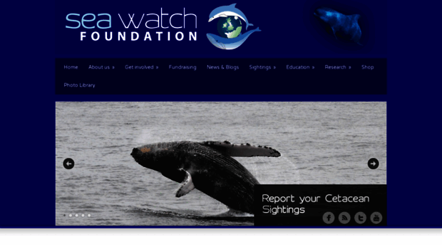 seawatchfoundation.org.uk