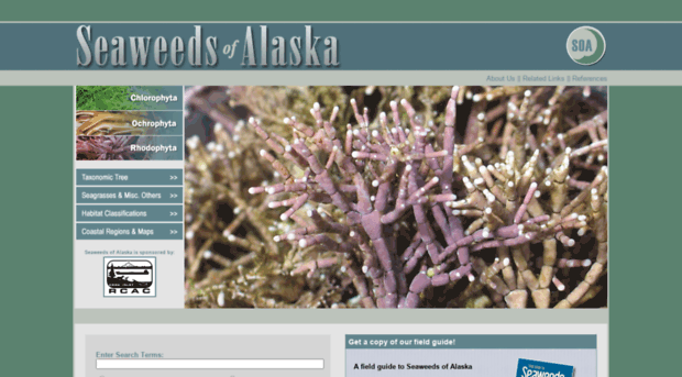 seaweedsofalaska.com