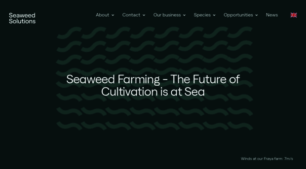 seaweedsolutions.com