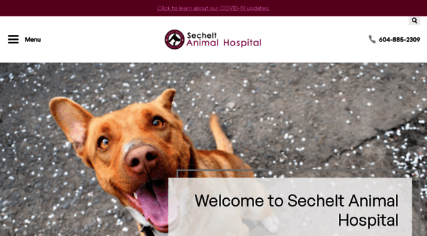 secheltanimalhospital.com