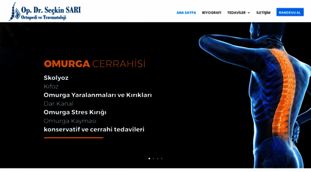 seckinsari.com