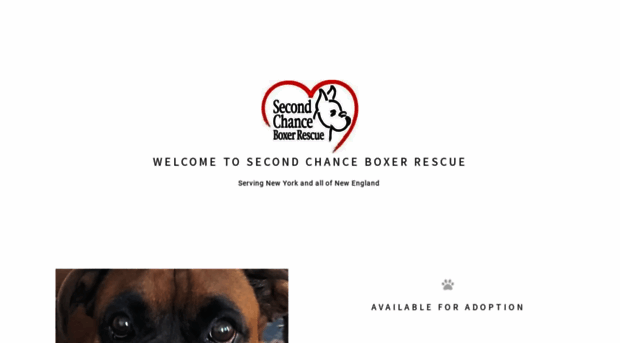 secondchanceboxer.com