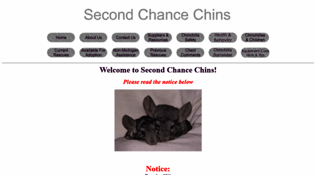 secondchancechins.com