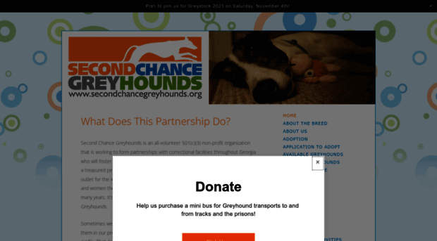 secondchancegreyhounds.org