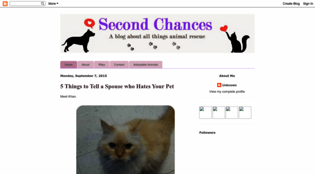 secondchances4animals.blogspot.com