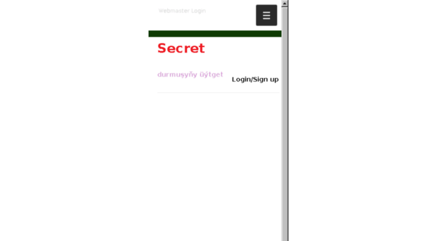 secretbooks.biz