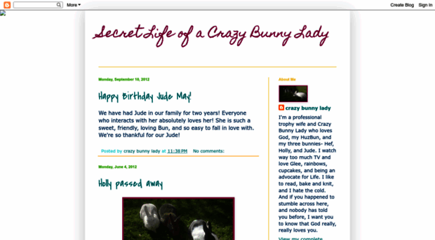 secretlifeofacrazybunnylady.blogspot.com