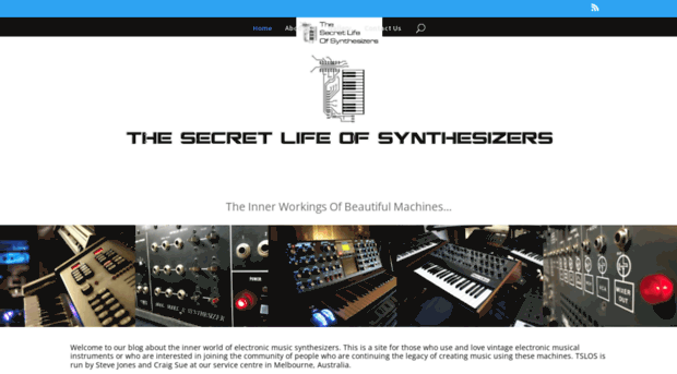 secretlifeofsynthesizers.com