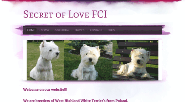 secretoflovewestie.weebly.com