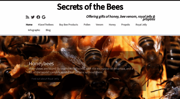 secretsofthebees.com