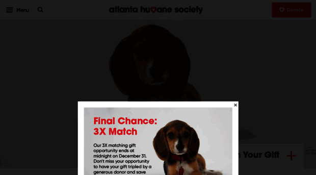 secure.atlantahumane.org