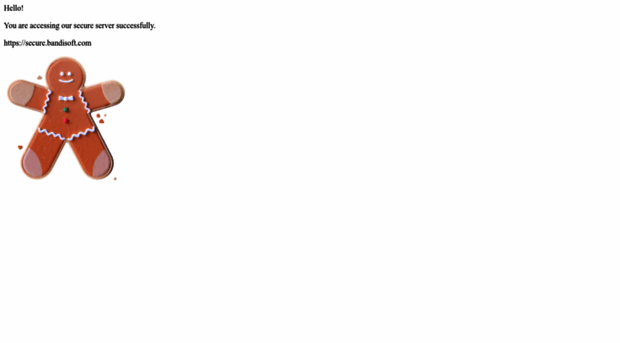 secure.bandisoft.com