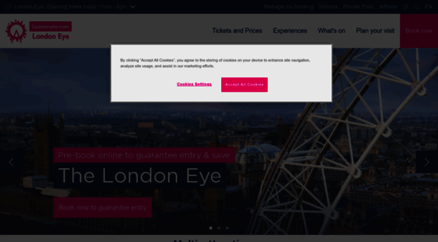 secure.londoneye.com