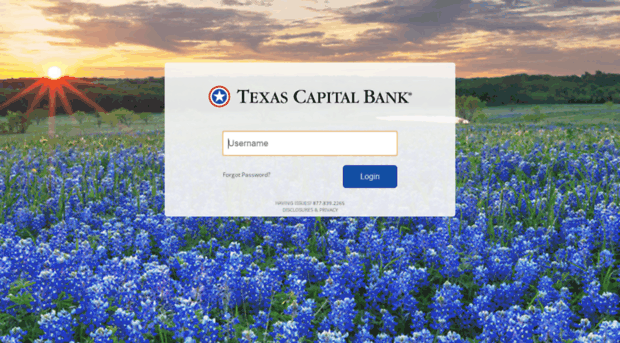 securelogin.texascapitalbank.com