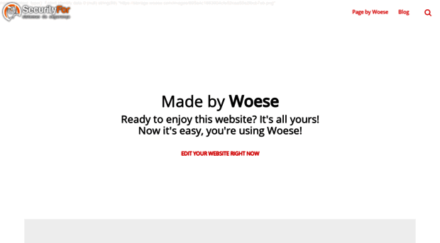 securityfor.woese.com