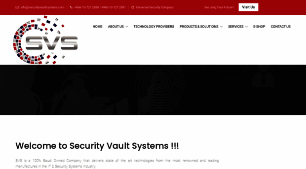 securityvaultsystems.com