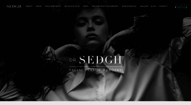 sedghplasticsurgery.com