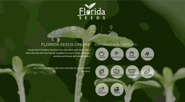 seedflorida.com