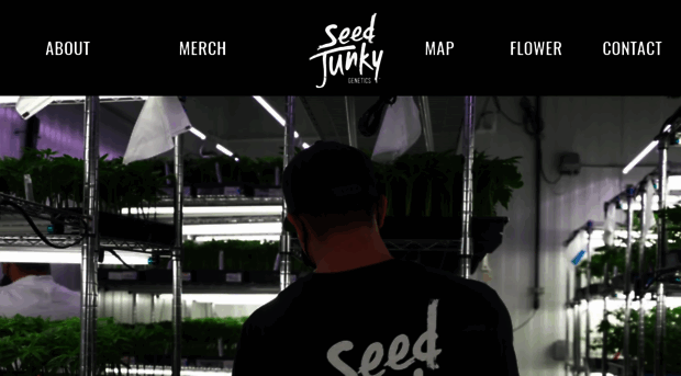 seedjunky.com