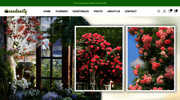 seednesty.com