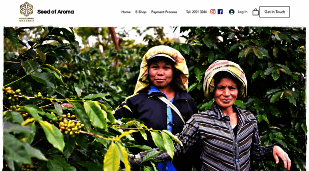 seedofaroma.com