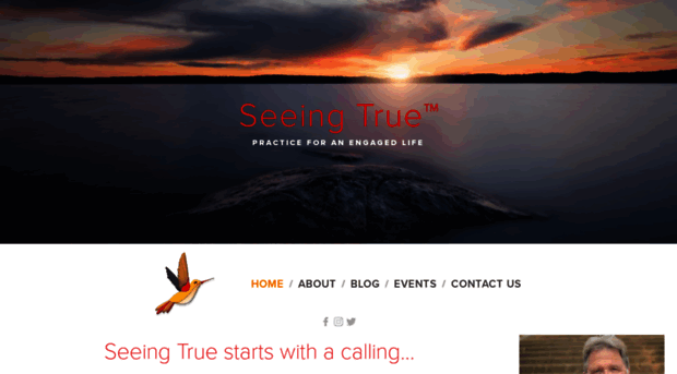 seeingtrue.com