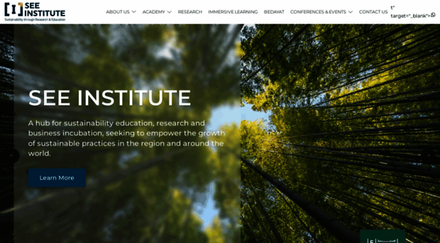 seeinstitute.ae