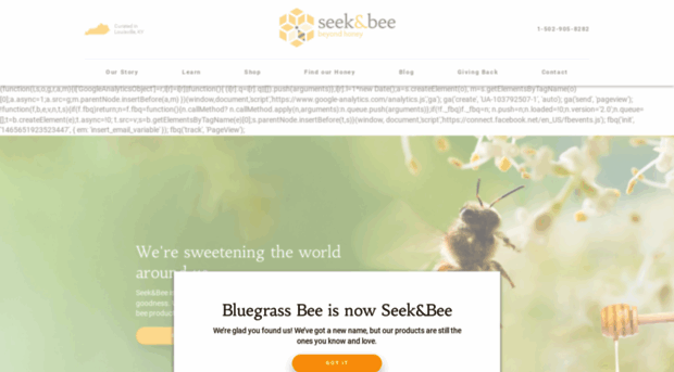 seekandbee.com