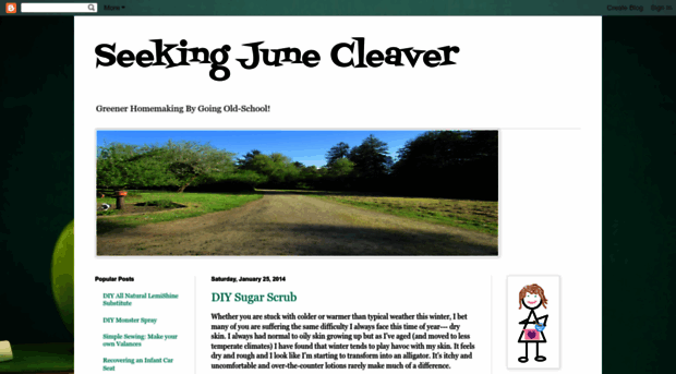 seekingjunecleaver.blogspot.com