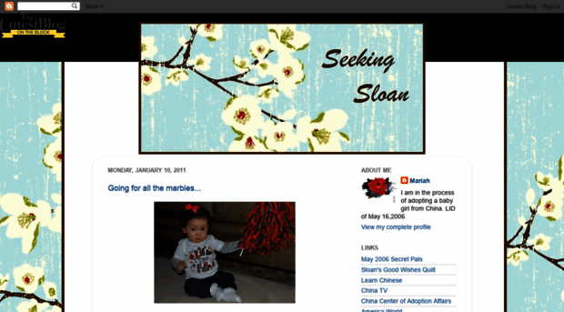 seekingsloan.blogspot.com