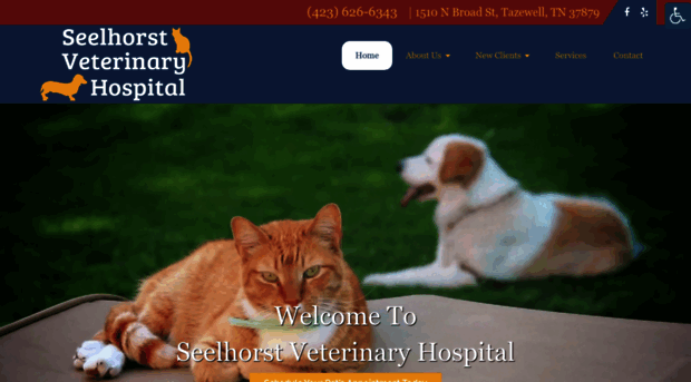 seelhorstveterinary.com