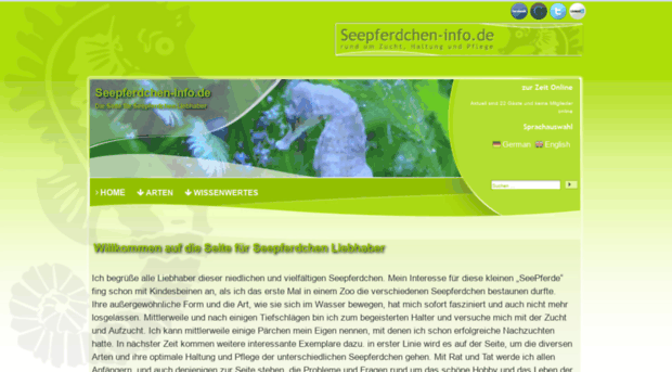 seepferdchen-info.de