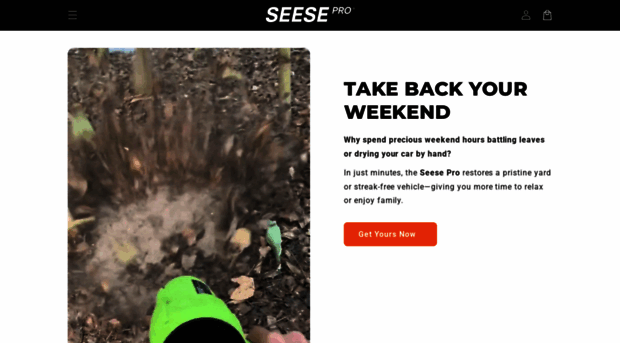 seesepro.com