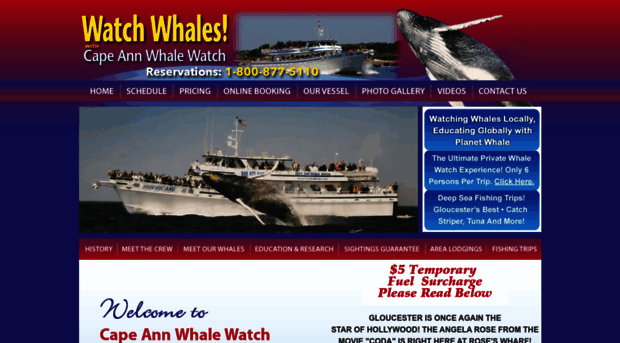 seethewhales.com