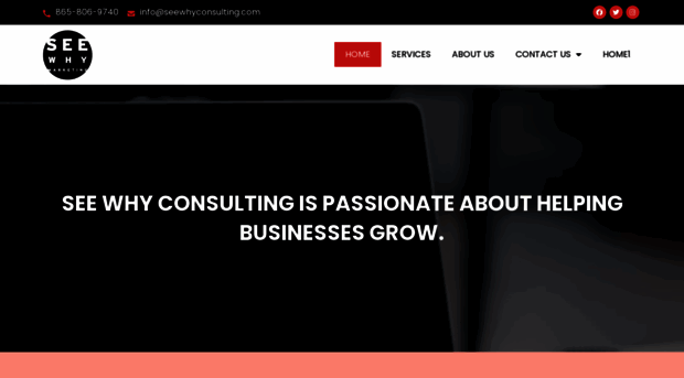 seewhyconsulting.com